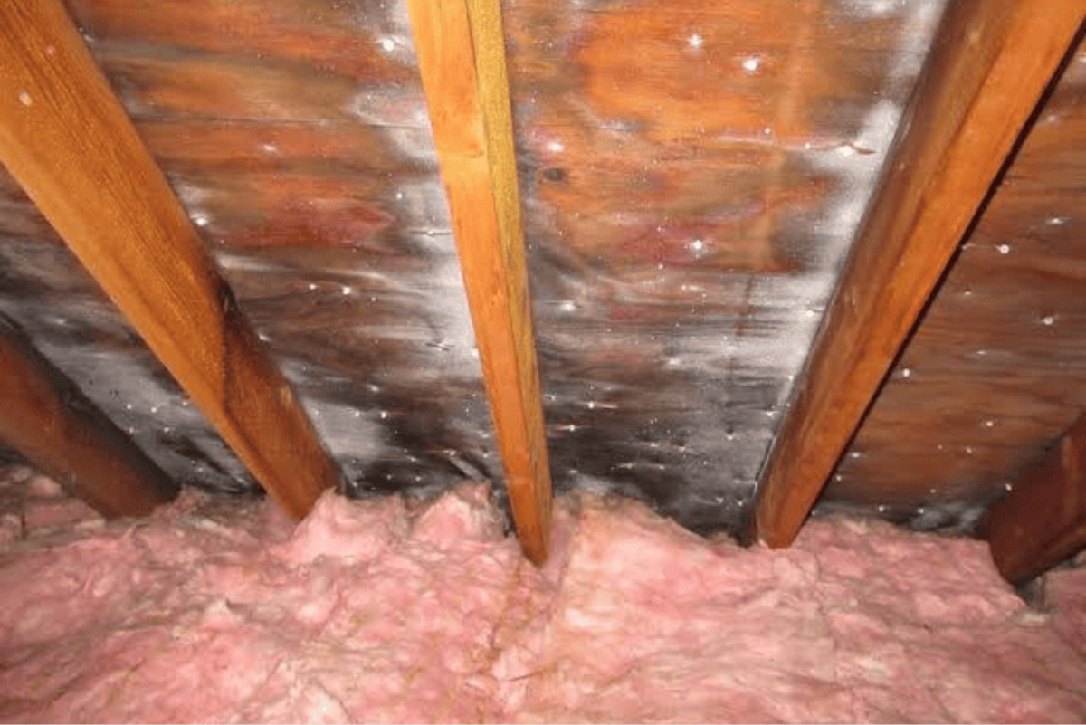 Attic Ventilation (1)
